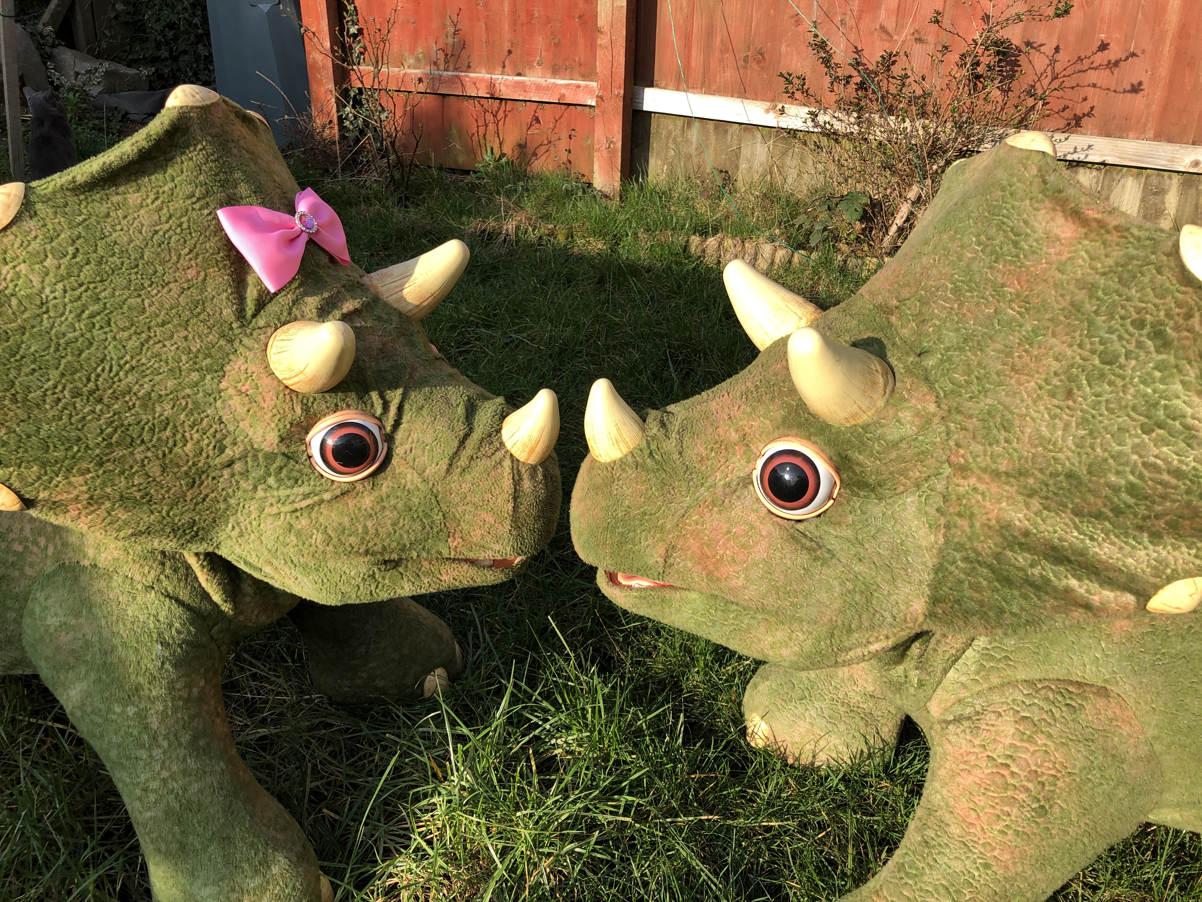 2 small interactive dinosaurs for party hire
